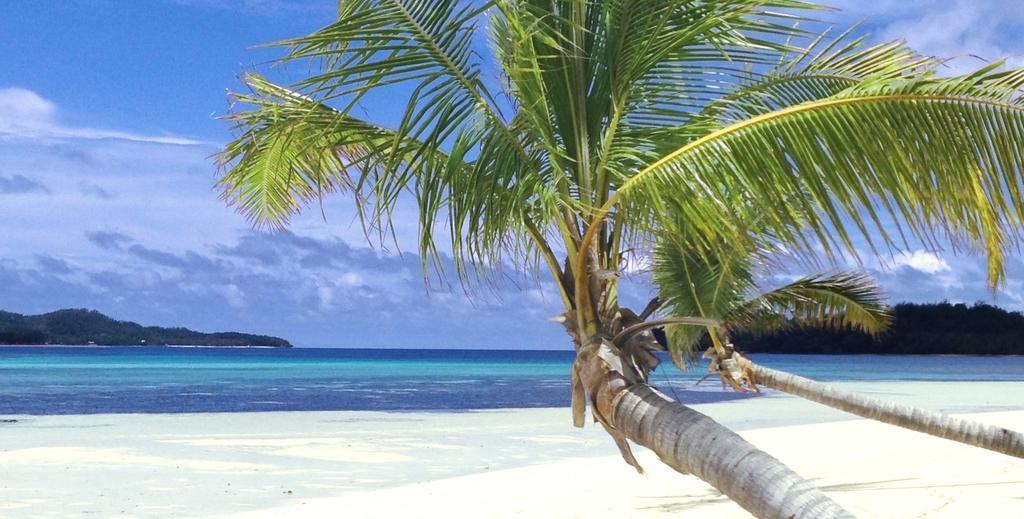 Coconut Beach Resort Tavewa Island Экстерьер фото
